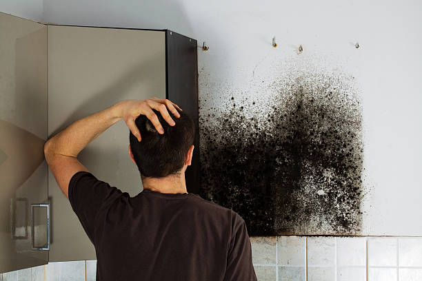 Best Bathroom Mold Remediation in Scottsburg, IN